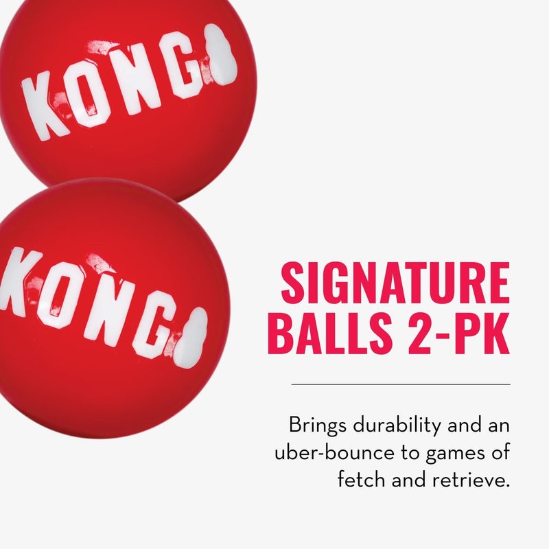 KONG Wild Knots Bear & Signature Balls (2 Pack) - Soft Bear Chew Toy with Rope Interior - Durable Dog Balls for Fetch - for Large Dogs - Image 4